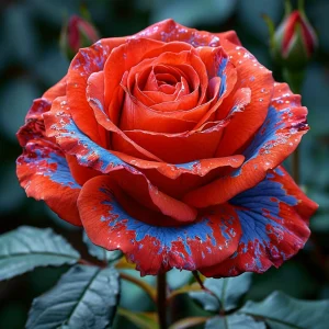 Роза Сикрет Гарден купить по цене от 619р. в интернет-магазине «Посадика» с доставкой почтой в в Петровске и по всей России – [изображение №1].