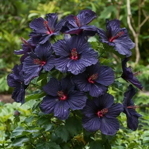 Гибискус Мэджик Момент купить по цене от 699р. в интернет-магазине «Посадика» с доставкой почтой в в Петровске и по всей России – [изображение №1].