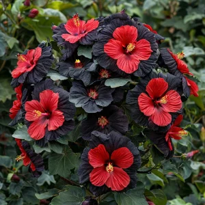 Гибискус Шиммеринг купить по цене от 720р. в интернет-магазине «Посадика» с доставкой почтой в в Петровске и по всей России – [изображение №1].